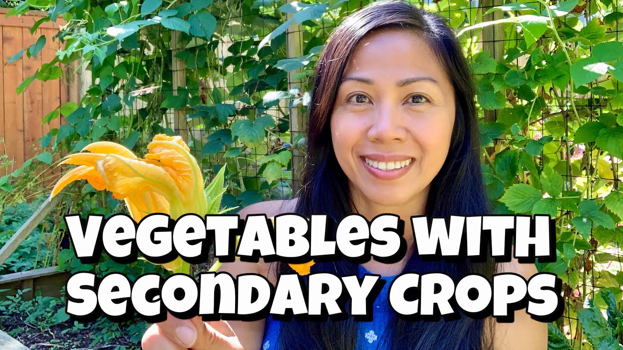 10 Vegetables with Secondary Crops / Gardening for Beginners