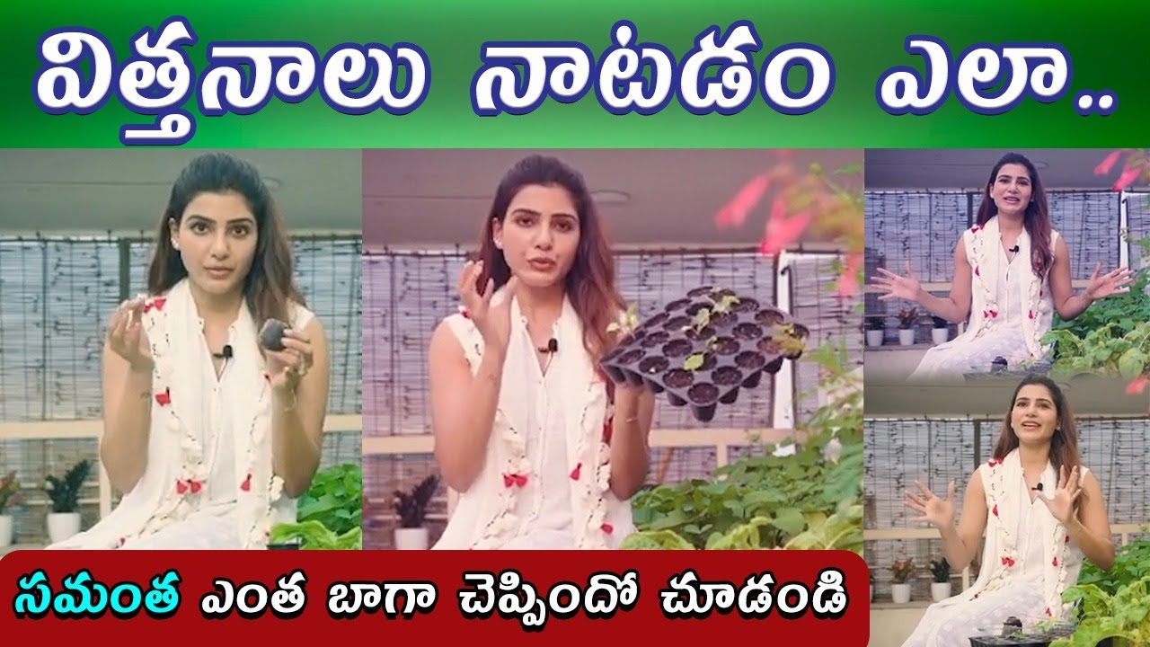 Samantha Akkineni About Seeding Latest Video || Home Gardening Tips || Samantha ||Samayam Telugu