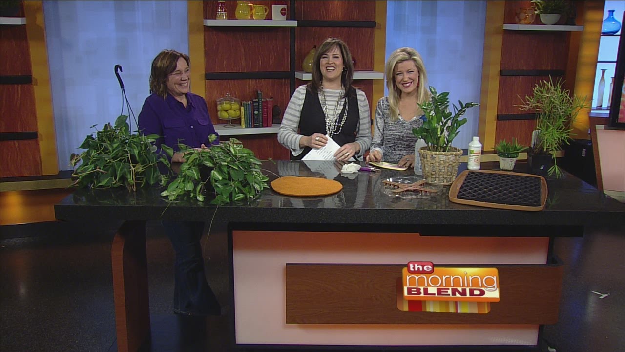 Indoor Gardening to Fight Off the Winter Blues
