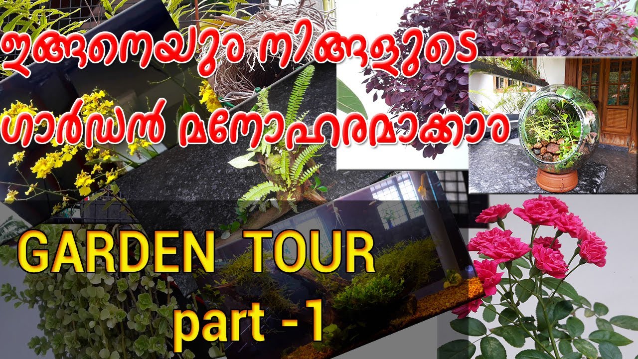Garden Tour part 1  || garden design ideas || plant names and varieties  || edensflora