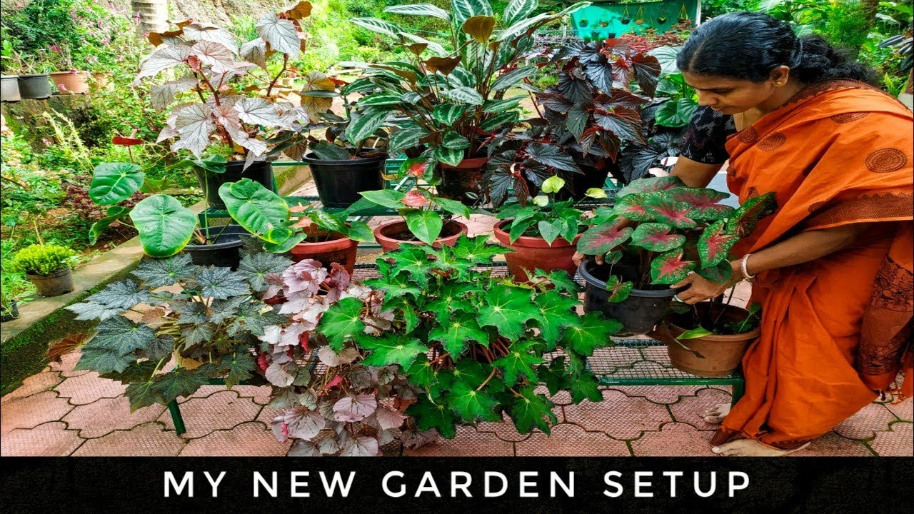 New Garden Setup |        | Home Garden (Malayalam)