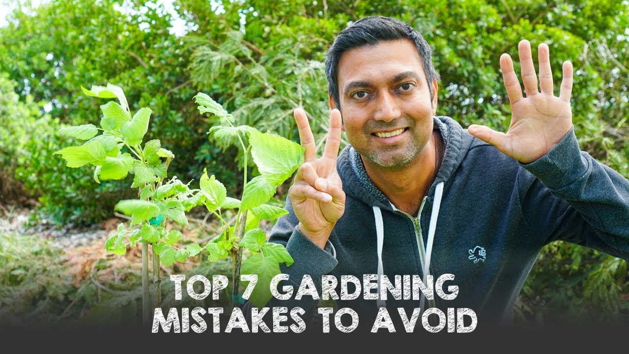 Top 7 Gardening Mistakes to Avoid Specially for Beginner Gardeners