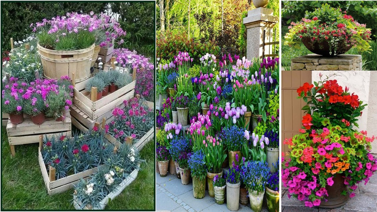 125 Container Gardening Ideas  part 3  | diy garden