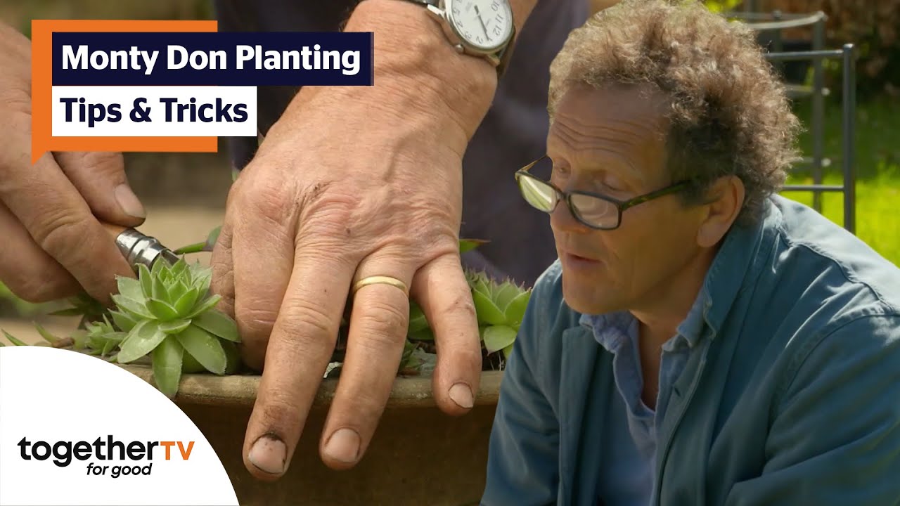 Monty Dons Tips And Tricks On Gardening and Planting | Big Dreams, Small Spaces | Compilation