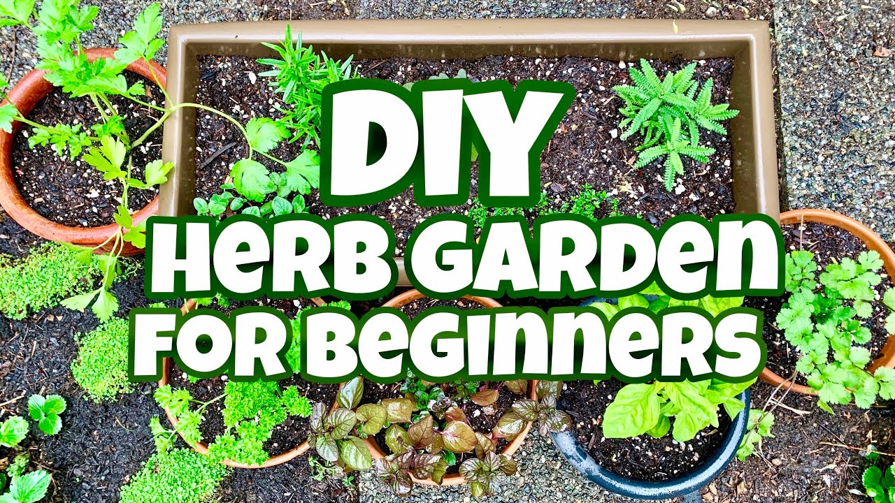 How To Plant an Herb Garden For Beginners- DIY Herb Garden #Stayhome #Withme