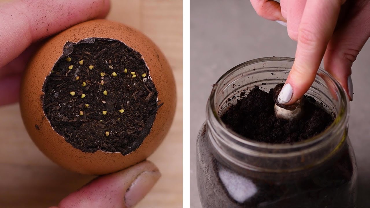 15 Gardening Hacks Everyone Should Know About!! Blossom