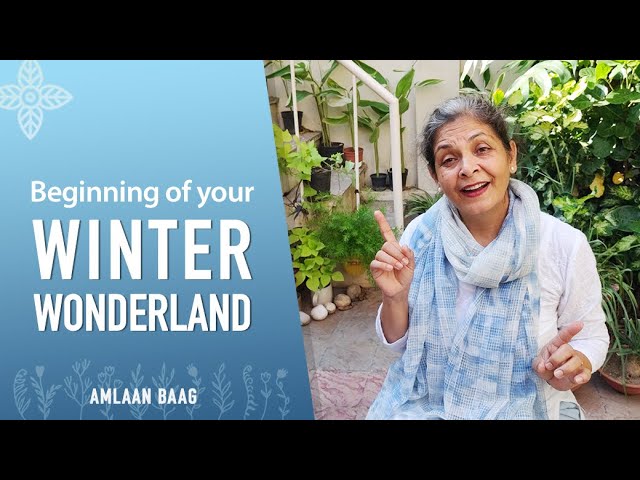 Beginning of Your Winter Wonderland | Flowers & Vegetable Garden Preparation