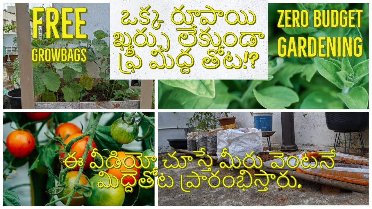Zero Budget Gardening Ideas | Best Out Of Waste | DIY Gardening Tips | #telanganapilla