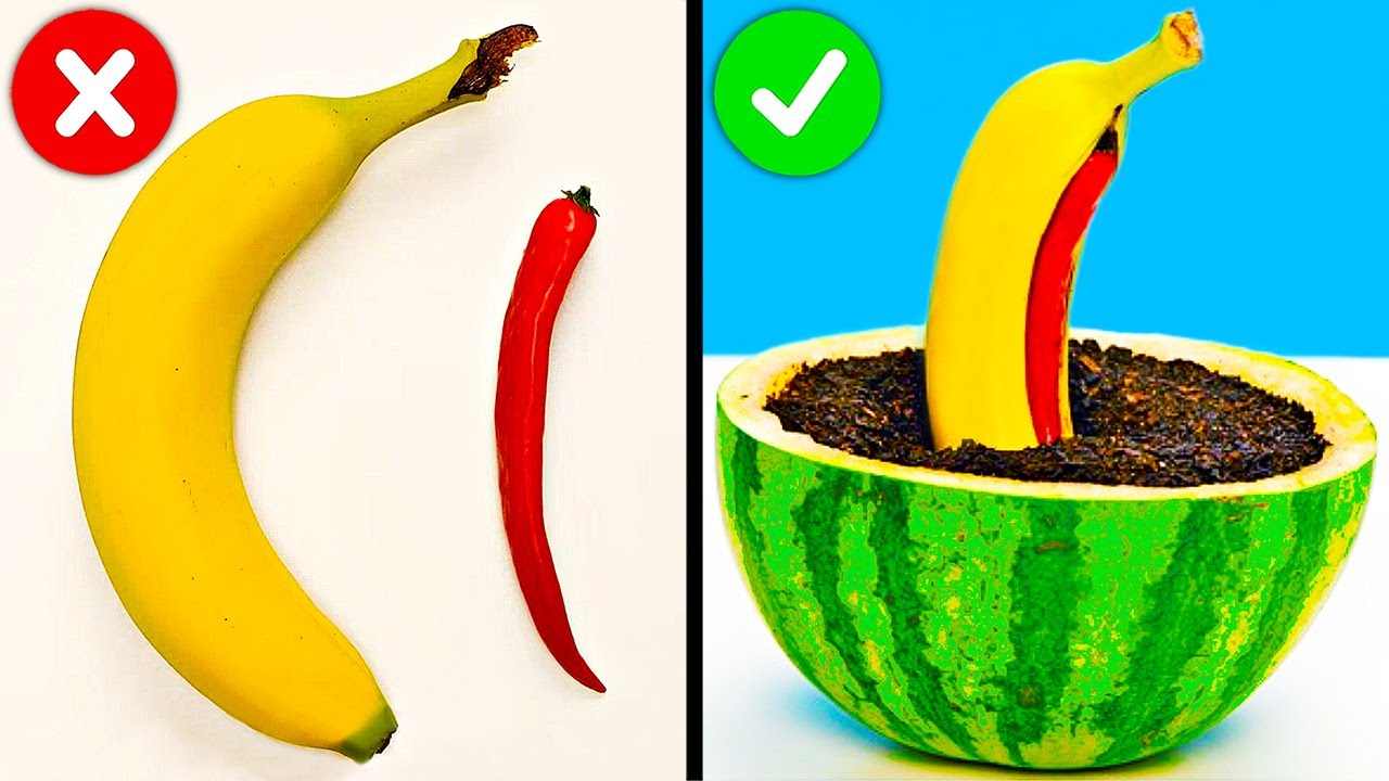How To Regrow Everything || Plant Hacks To Grow Your Own Garden