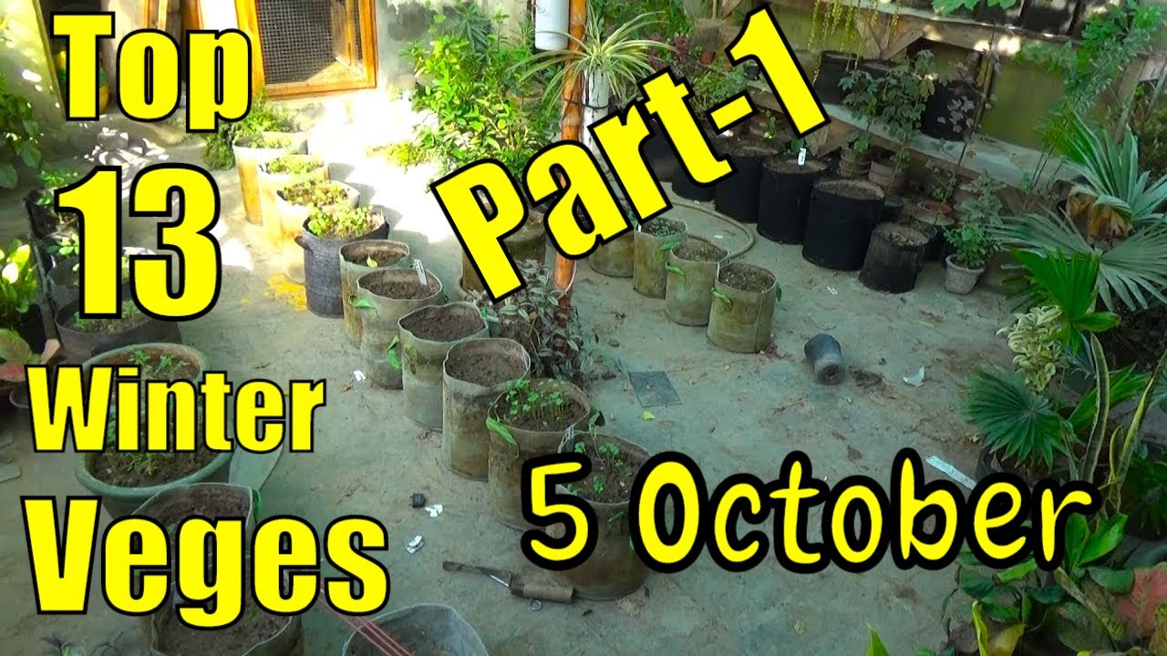 Top 13 Easy To Grow Winter Vegetables For Beginners Part-1