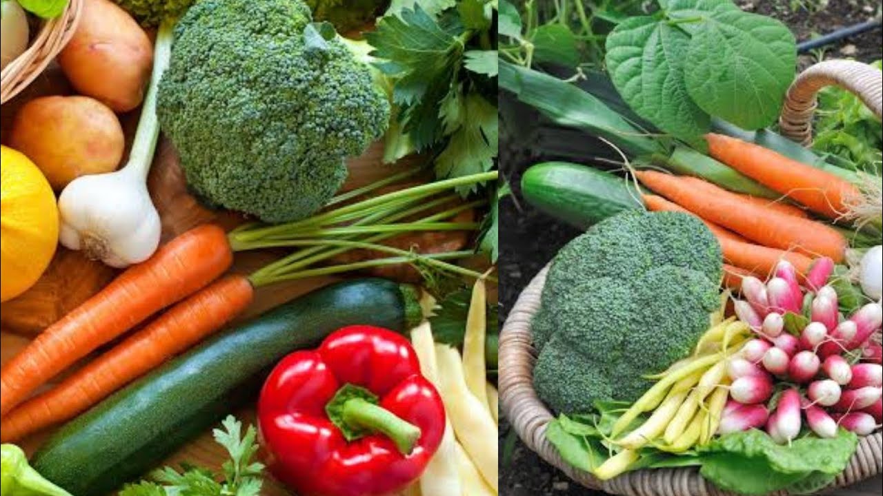 Grow Best 16 Winter season vegetables || Winter season vegetables for beginners