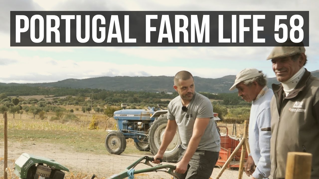 Portugal Farm Life 58  Water, Compost, Manure and prepping WINTER vegetable garden ORGANIC PRODUCE