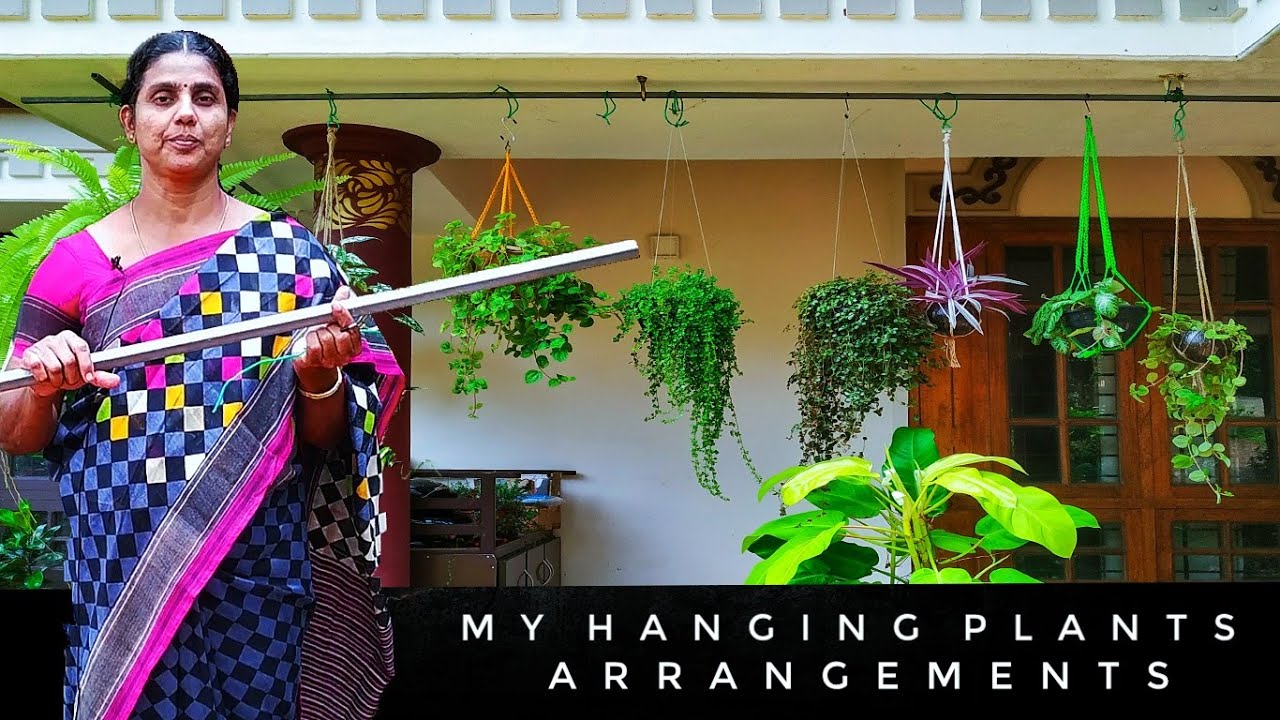My Hanging Plants Arrangements |     | Indoor Plants(Malayalam)