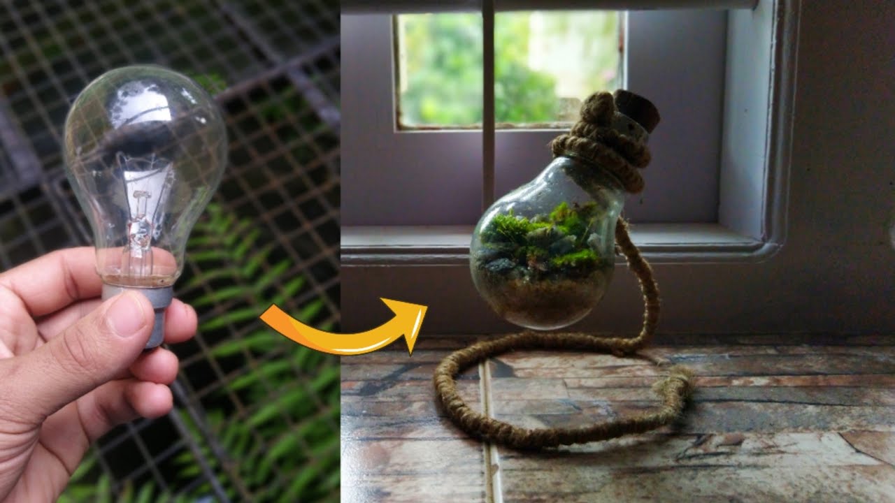How to make a tiny terrarium using bulb|indoor gardening| gardening ideas