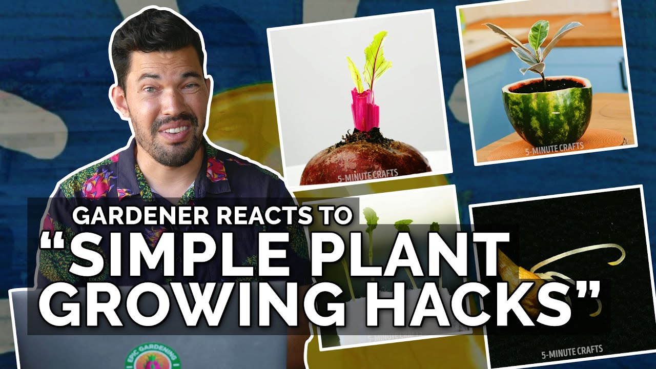Gardener Reacts to Simple Plant Growing Hacks