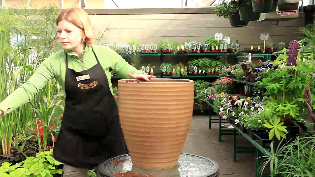 Container Gardening for Beginners