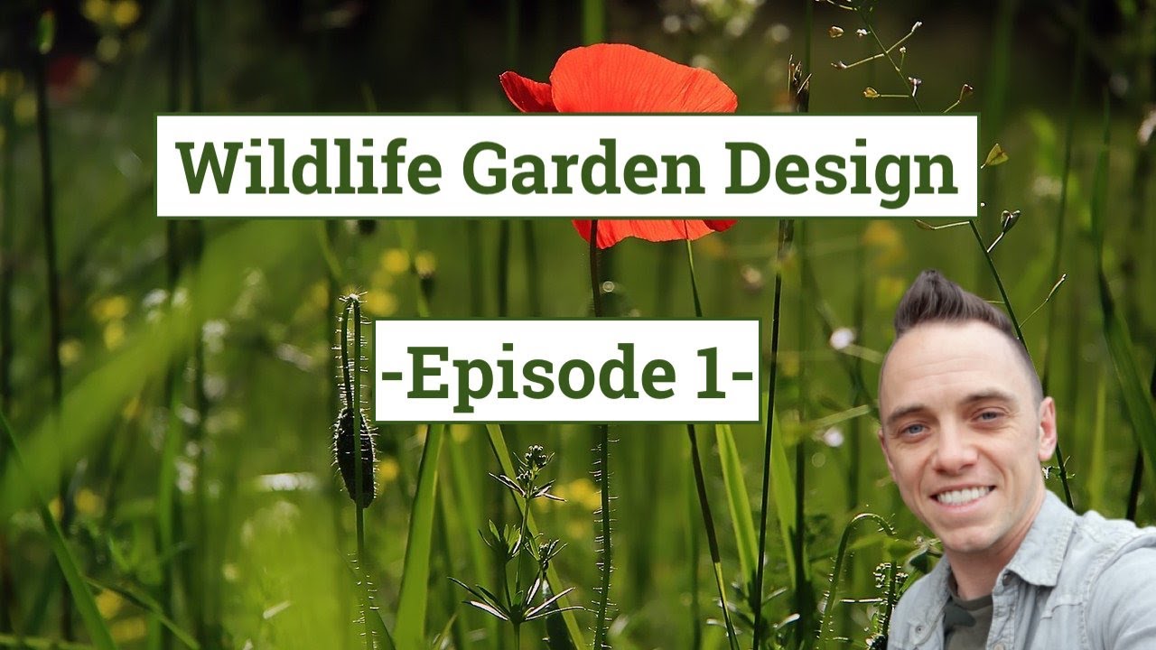 Wildlife Garden Design Guide  Episode 1  Planning the Garden