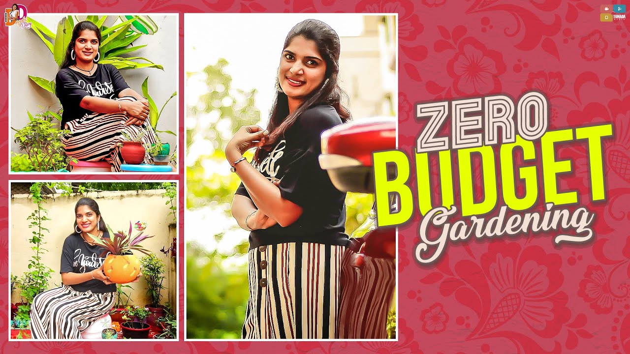 Easy Home Gardening Techniques || Gardening Basics for Beginners|| Deepti Nallamothu