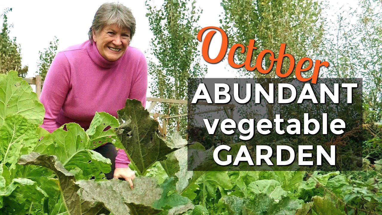 Homestead Garden Tour | Self Sufficient Vegetable Garden  (October 2020)