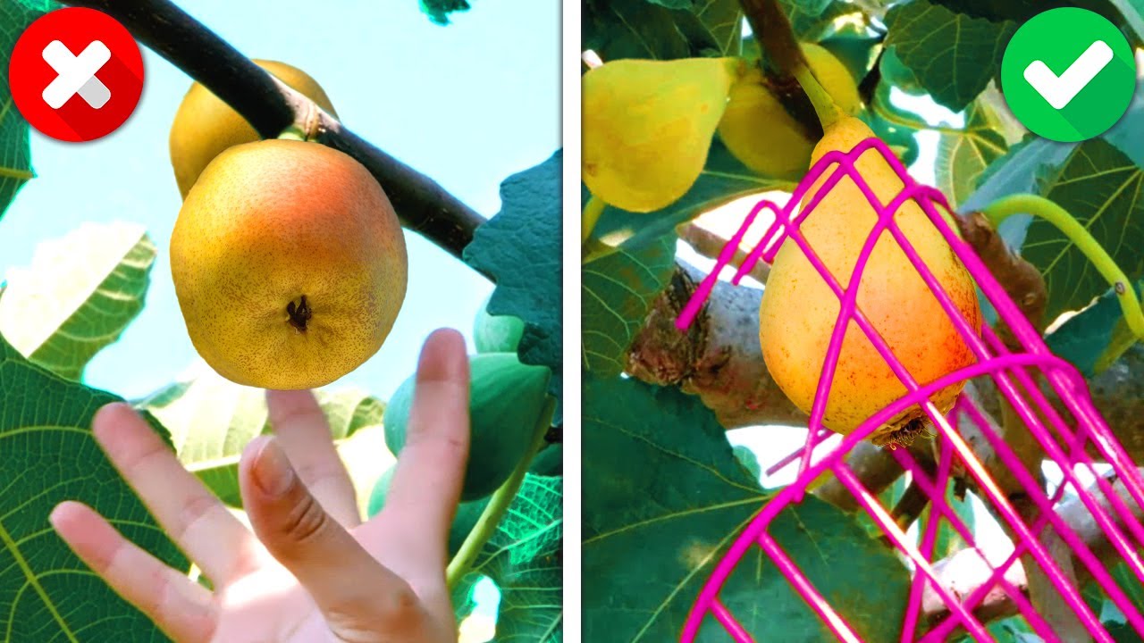 31 Useful Gardening Gadgets And Hacks That Will Make Your Life Easier