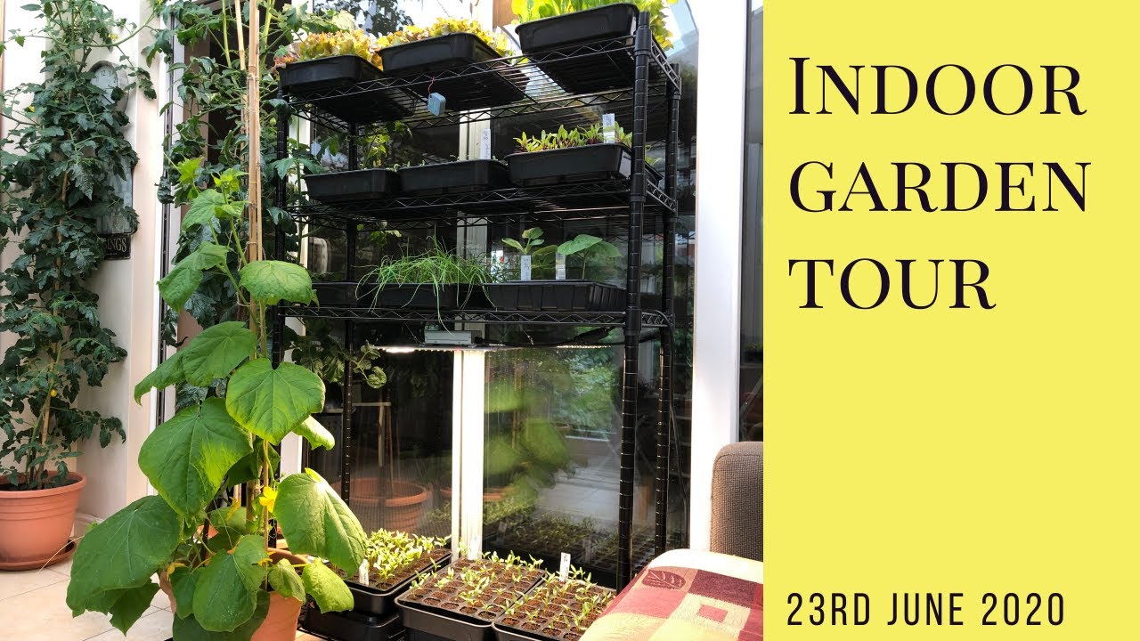 Indoor garden tour