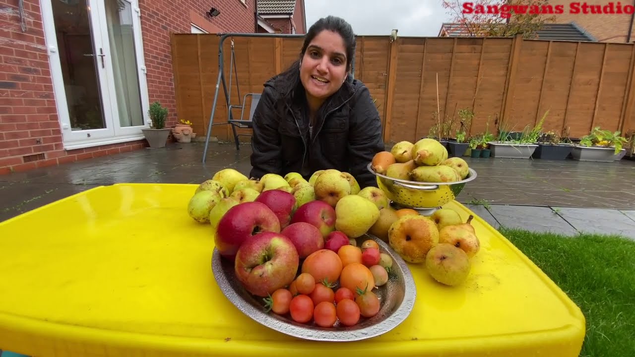 FRUITS HARVESTING DAY TODAY| VEGETABLE GARDEN AND KITCHEN GARDEN TOUR| THE SANGWAN FAMILY