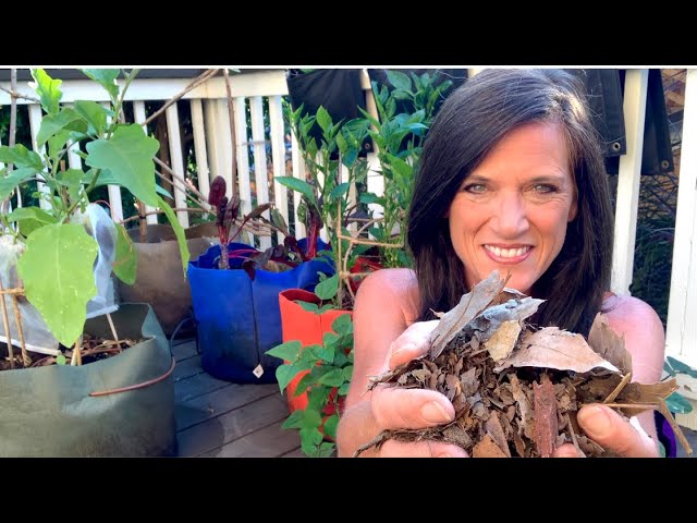 ?LIVE: 5 Fall Garden Hacks to Save Time, Money and Extend Your Growing Season