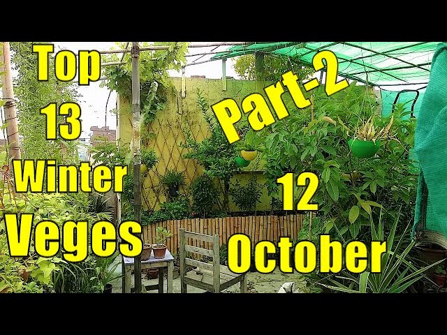 Top 13 Easy To Grow Winter Vegetables For Beginners Part-2