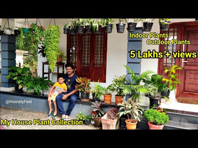 My House plant collection | Indoor and Outdoor plants | In Malayalam by Diyab