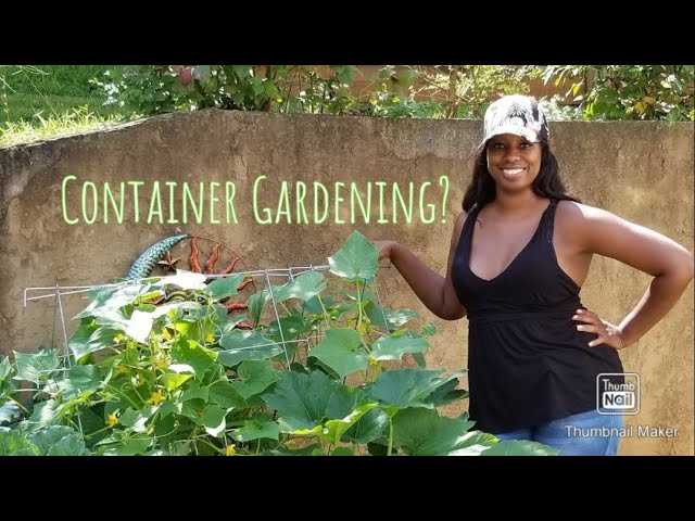Container garden for Beginners [Quarantine Boredom 2020]