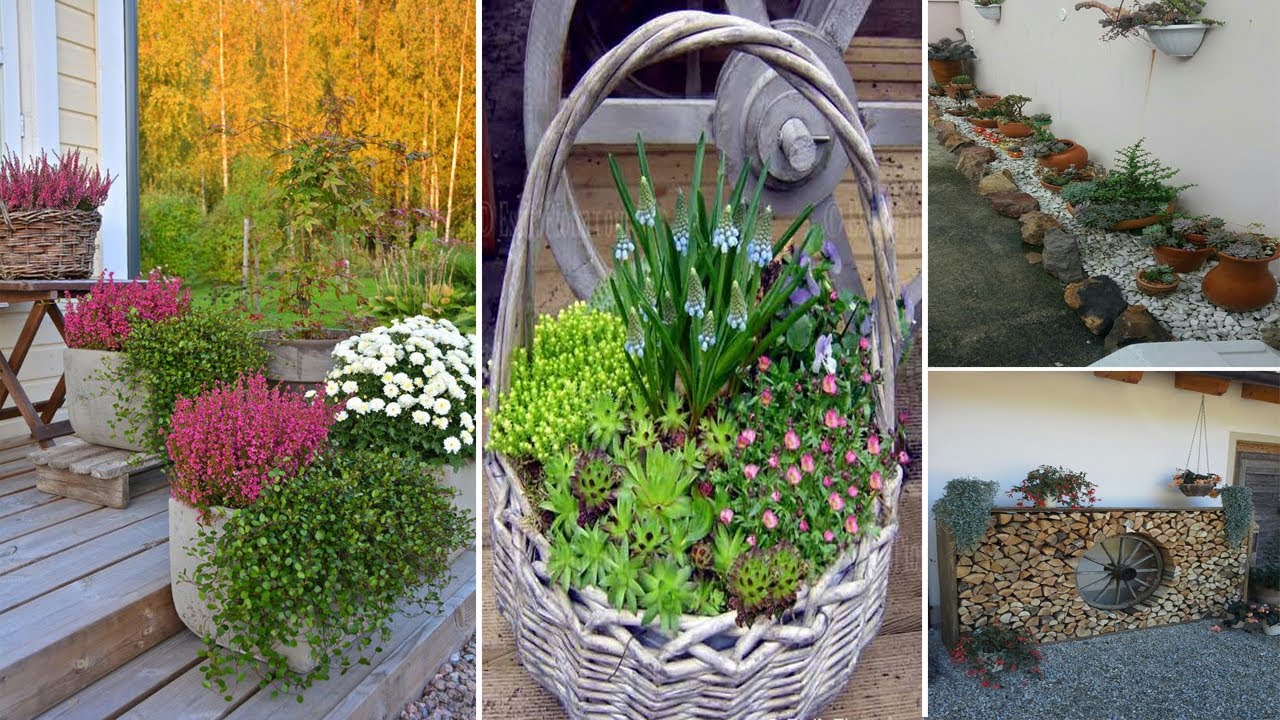 110+ Container Gardening Tips You Ever Need To Know! | diy garden