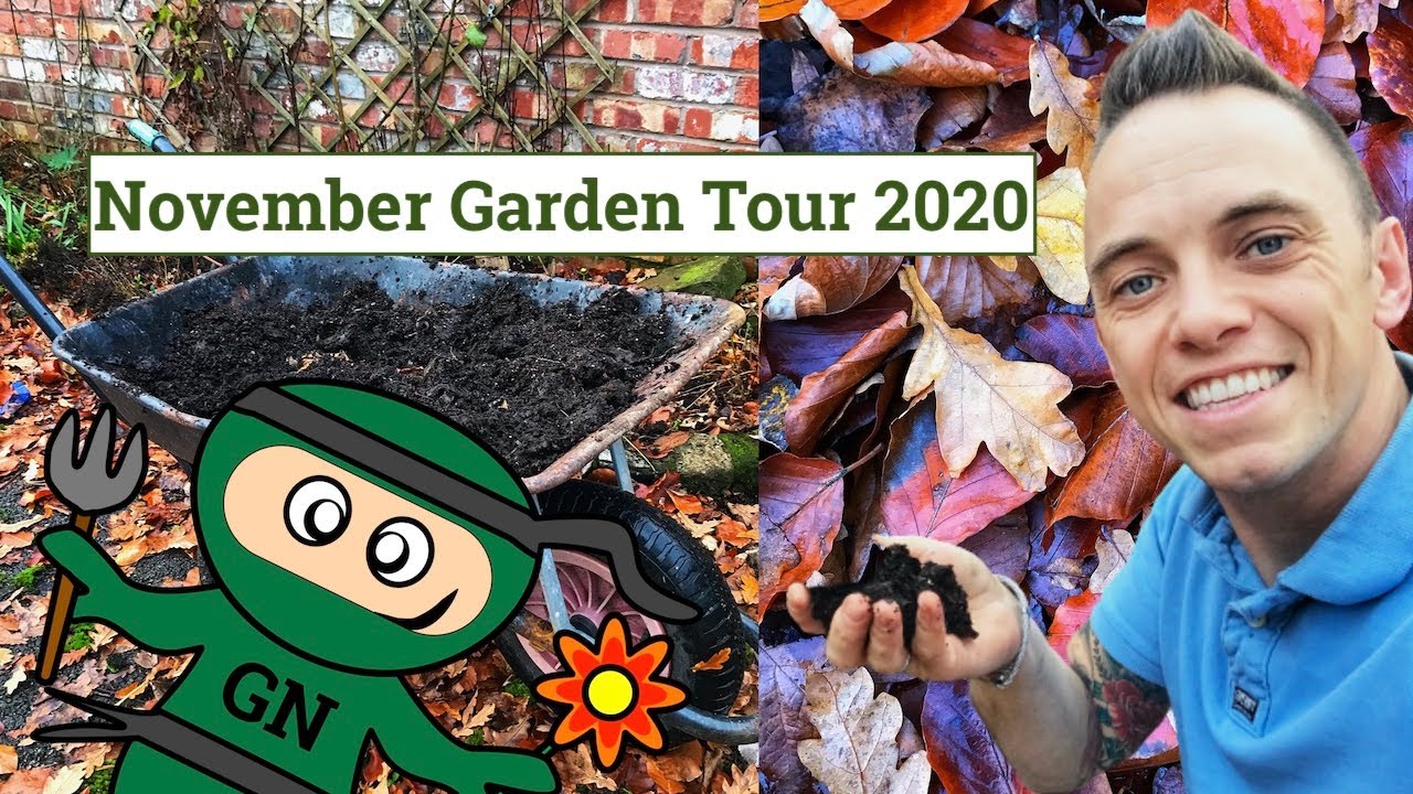 November Garden Tour 2020: Compost tips, Rose Pruning & Plants for Gaps!