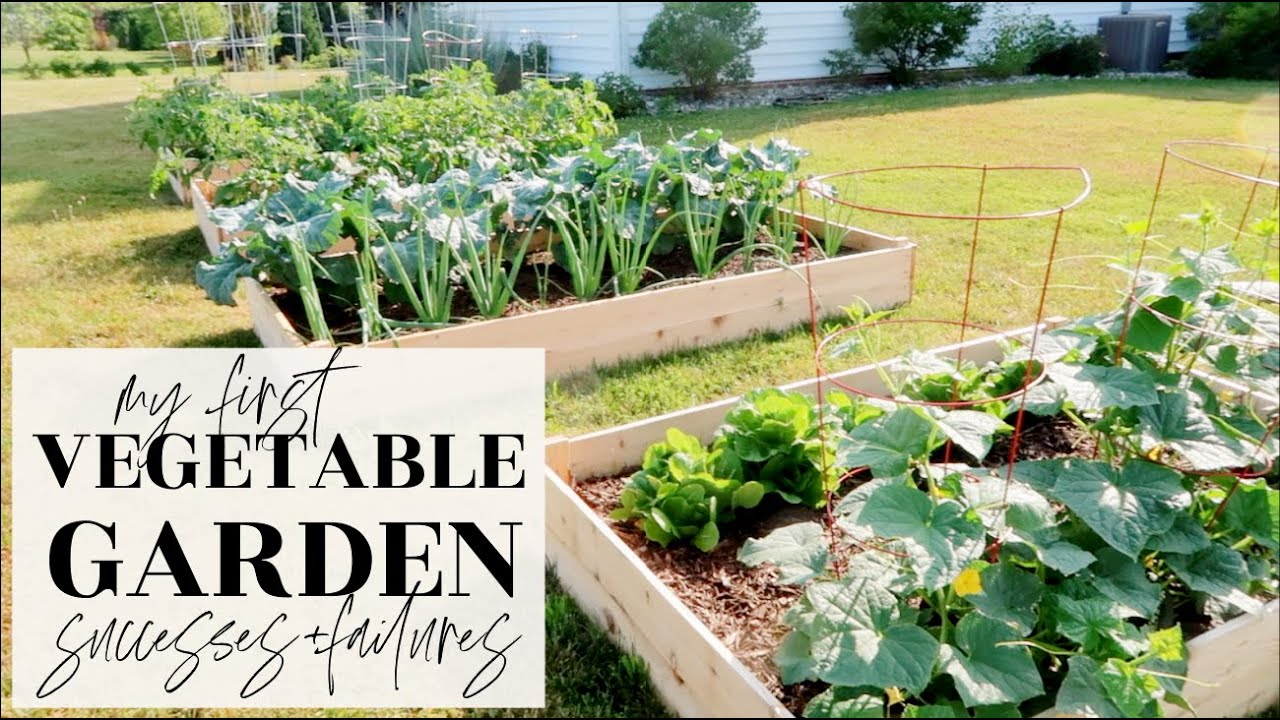 MY 1ST VEGETABLE GARDEN START TO FINISH: Progress, Successes, & Failures! | Becca Bristow