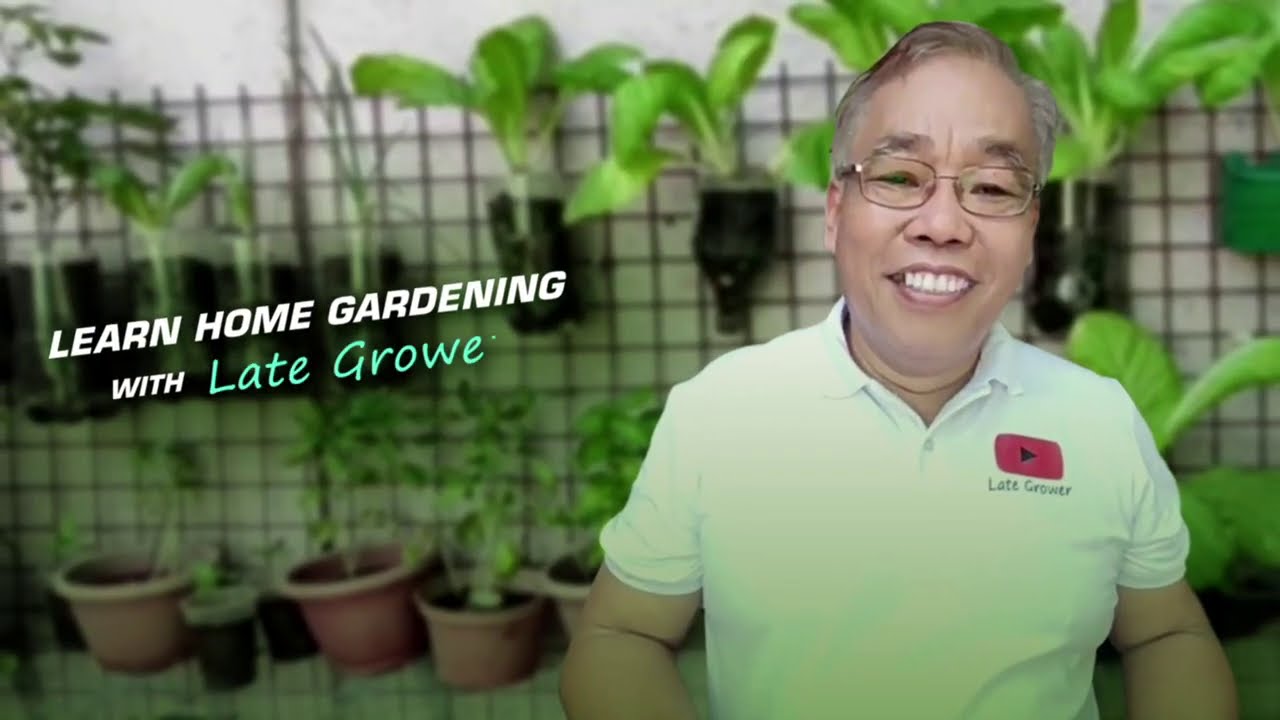 Home Gardening and Health Tips for Senior Citizens