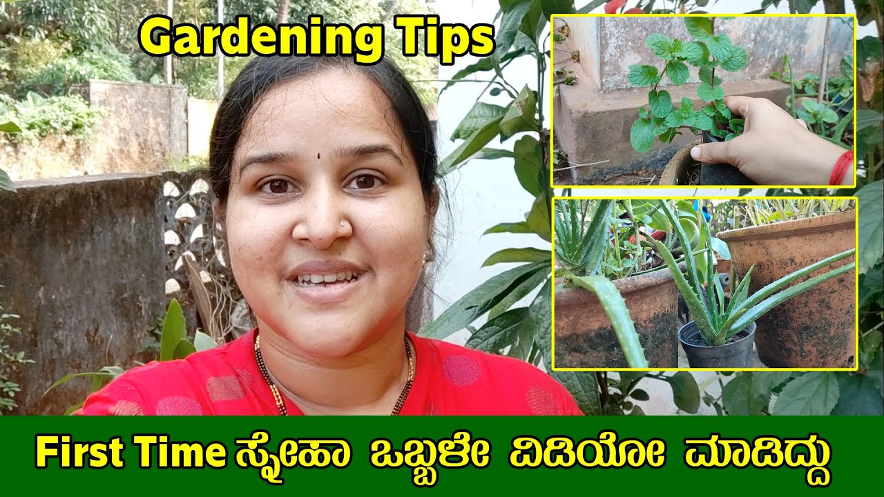 ನಿಮ್ಮ ಗಾರ್ಡನಿಂಗ್ ಪ್ರಶ್ನೆಗಳಿಗೆ ಉತ್ತರ  Gardening Tips by Sneha [Gardening Tips] – Mr and Mrs Kamath