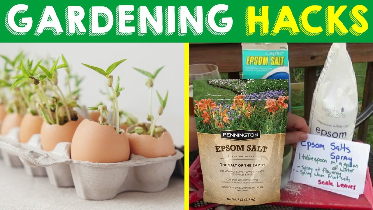 Gardening Life Hacks