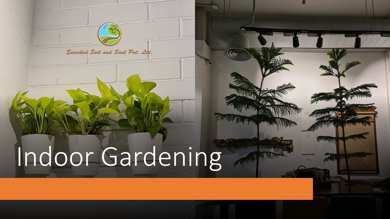      , Indoor Gardening