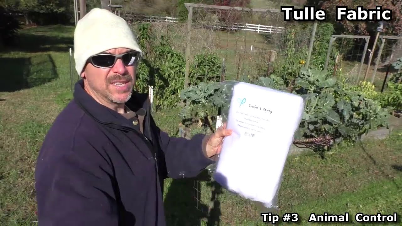 Four Gardening Tips! What I learned this year in the vegetable garden. Advice for container garden