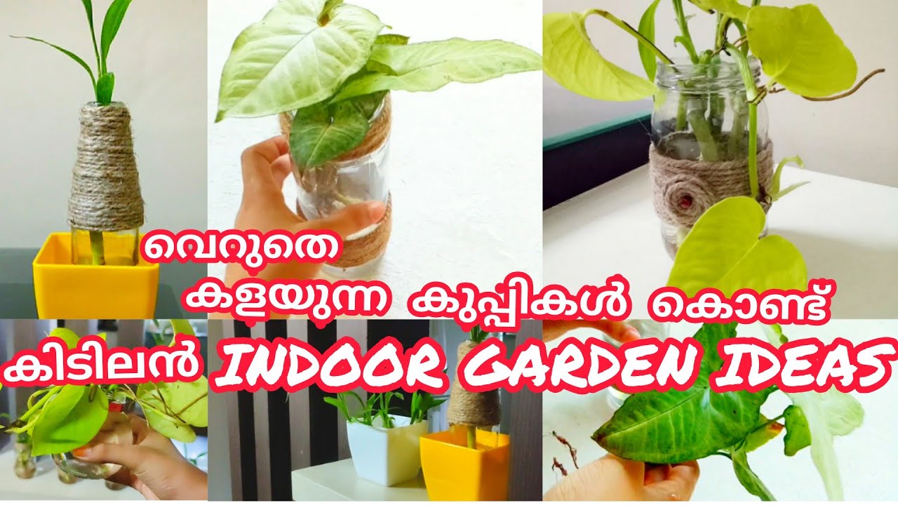 INDOOR GARDEN IDEAS malayalam /DIY / Indoor water Gardening From  WASTE BOTTLES /Recycled materials