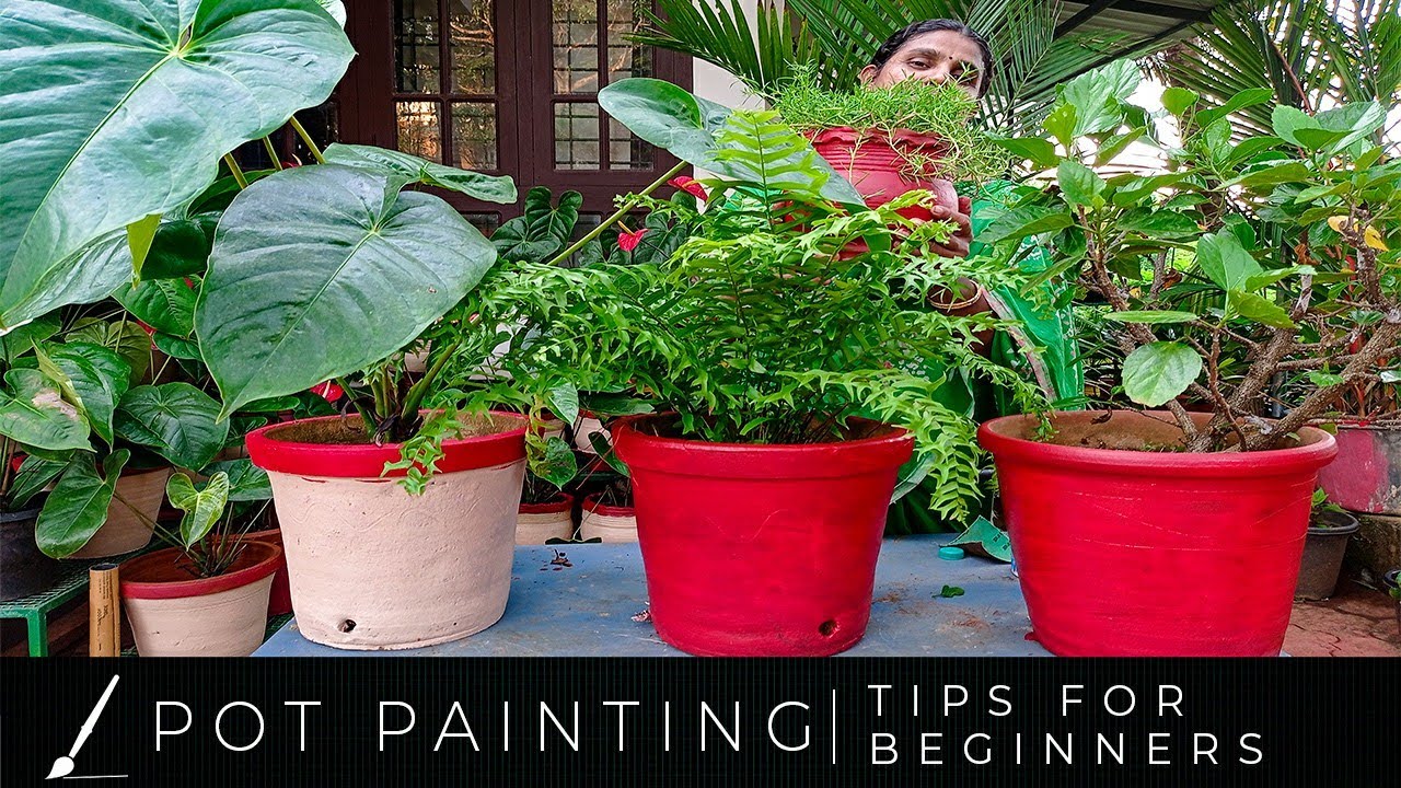 Pot Painting | Tips for Beginners | Home Garden(Malayalam)