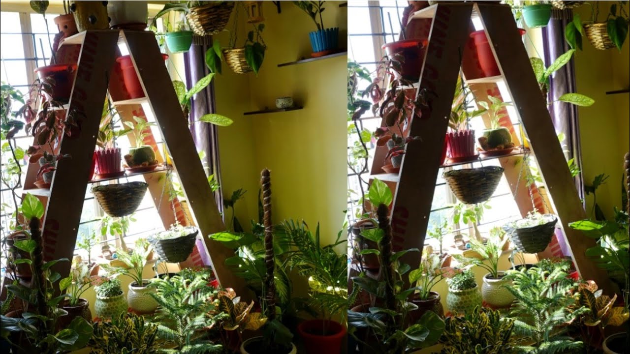 Indoor Vertical Gardening     Indoor garden