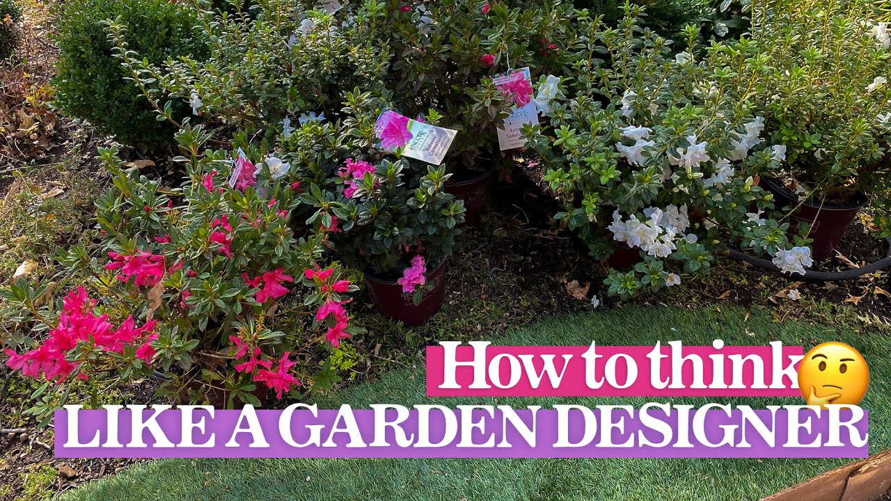 ⁉️🌺  MY TOP GARDEN DESIGN TIPS (when you’re NOT a garden designer 👩🏼‍🌾) | Linda Vater
