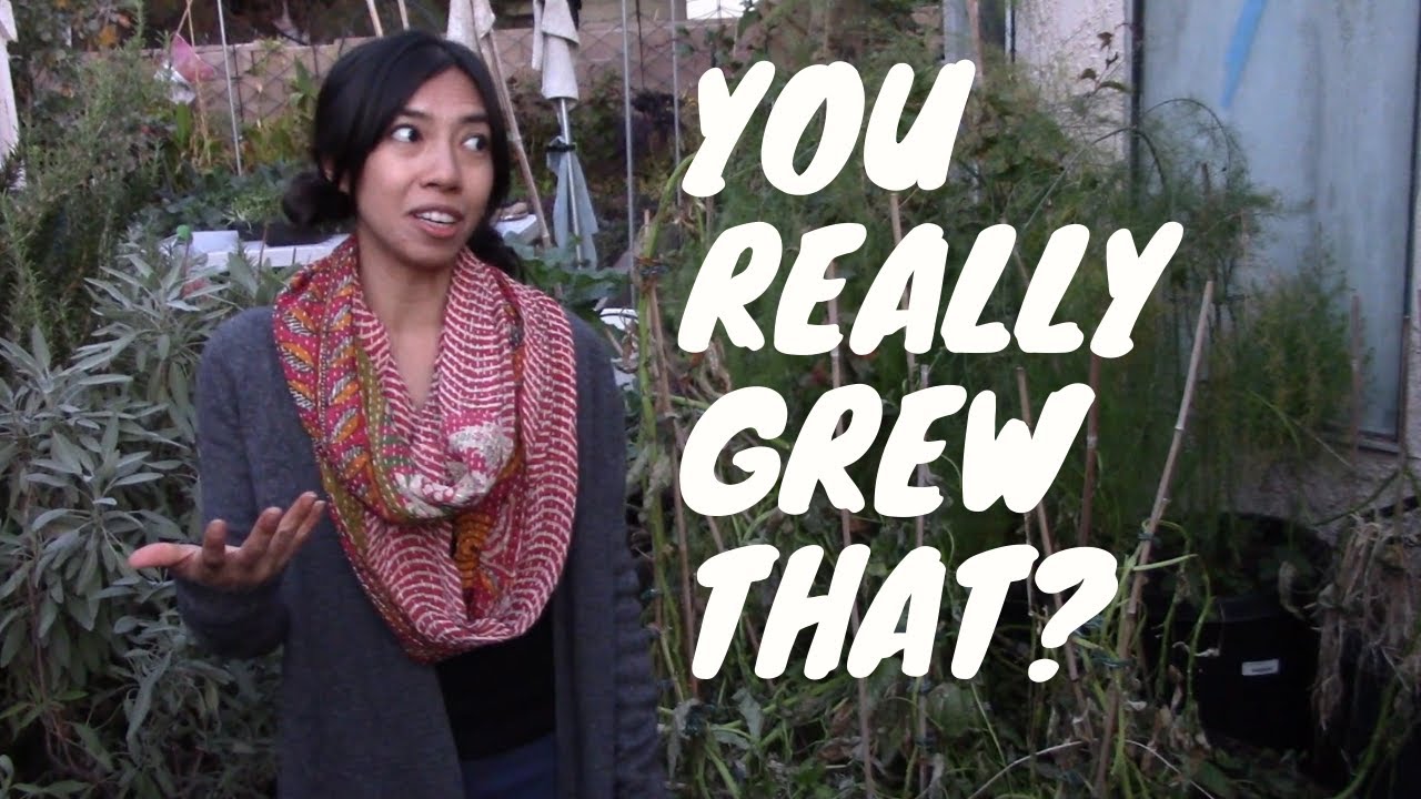 Famous You Tuber Gardener Criticizes My Organic Backyard Vegetable Garden