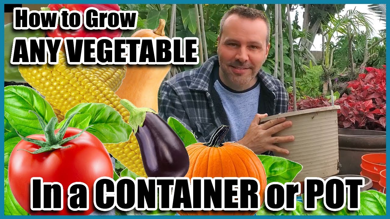 How to Grow Vegetables in Containers // Container Gardening // Self Sufficient Sunday!