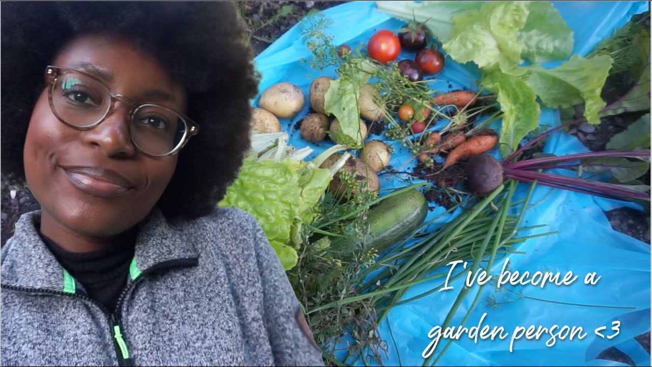 I started my own vegetable garden