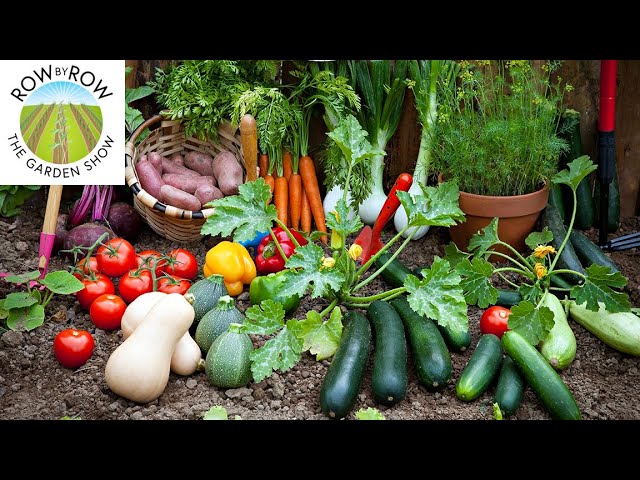WHAT IS THE PERFECT SIZE FOR A VEGETABLE GARDEN?
