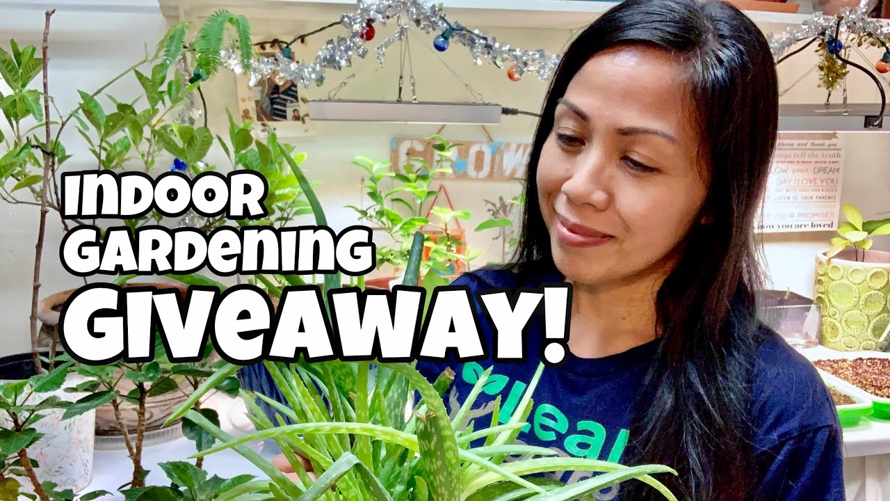 Grow Light Giveaway! Indoor Gardening  Grow Room Tour