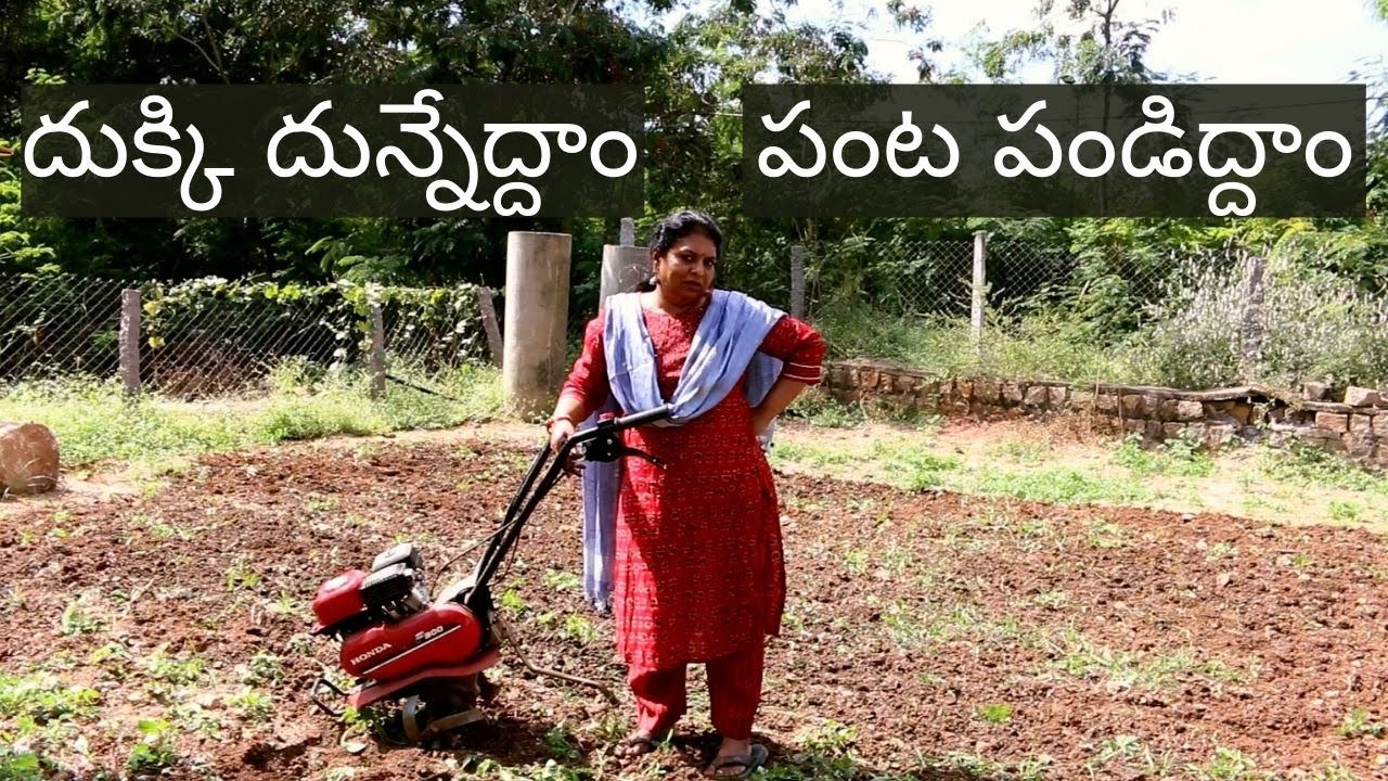 Live village life with me in Hyderabad/ vegetable garden prepare/kitchen garden/Hyderabad gardener