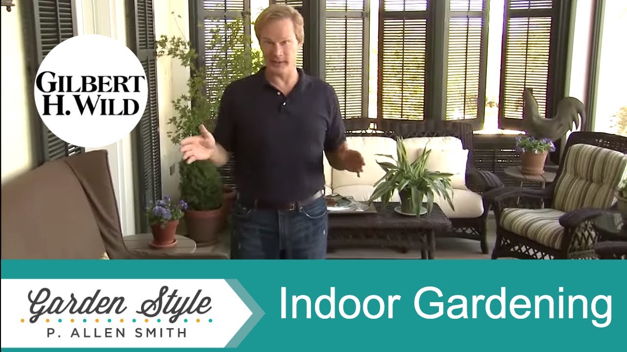 Indoor Gardening Ideas | Garden Style (1206)