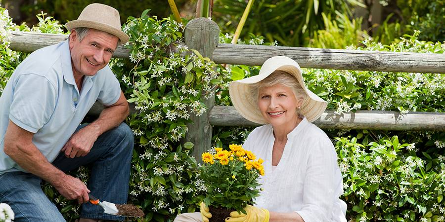 Ergonomic Gardening Tips for Arthritis Patients